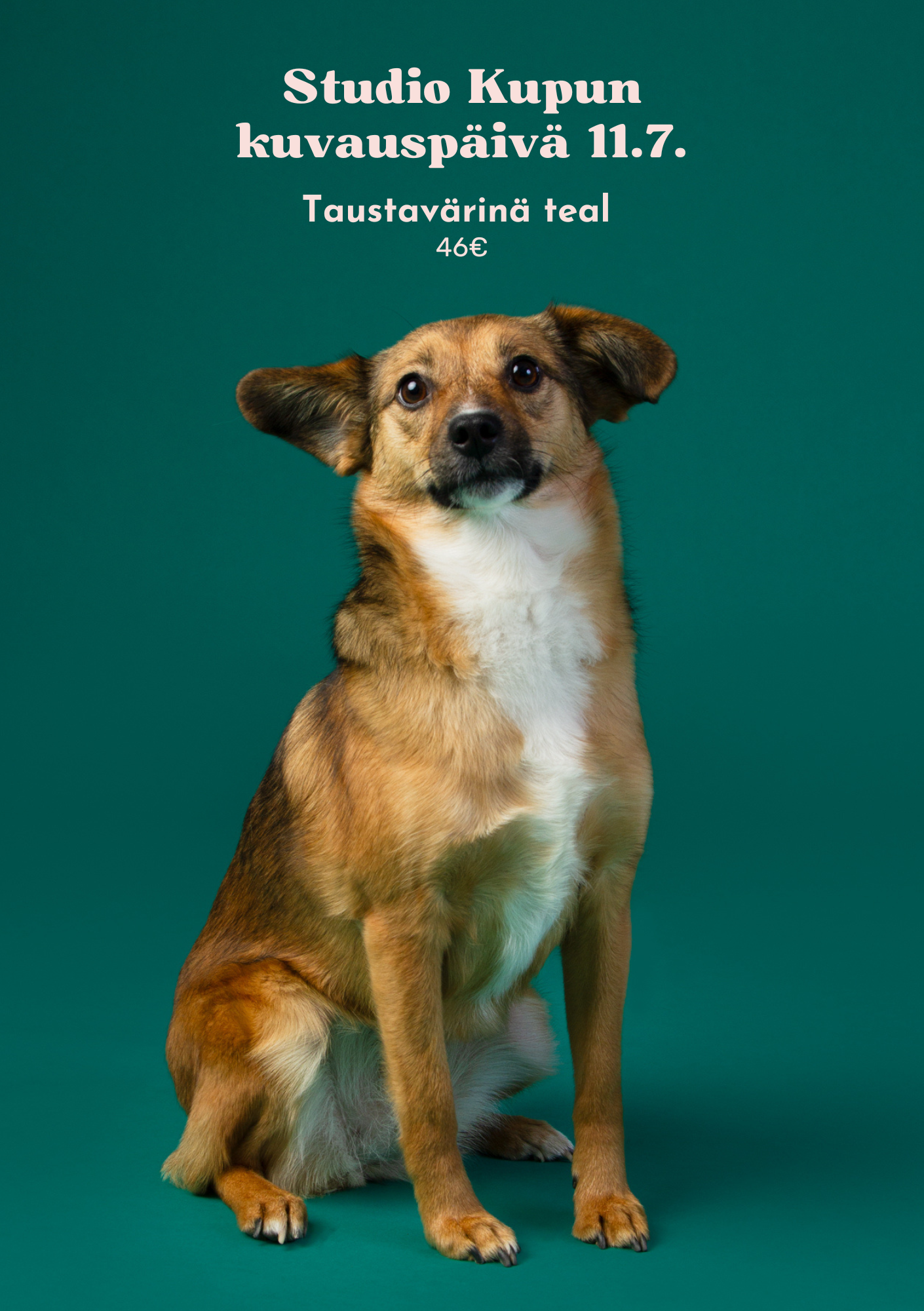 Studio Kupun kuvauspäivät joka kuun 11. päivä