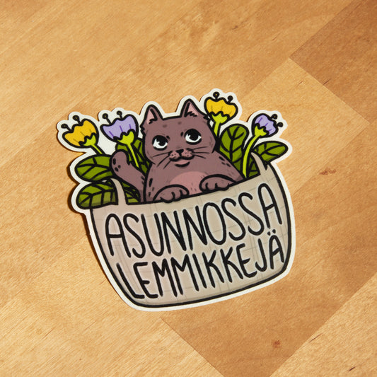 Ovitarra, Asunnossa lemmikkejä, kissa
