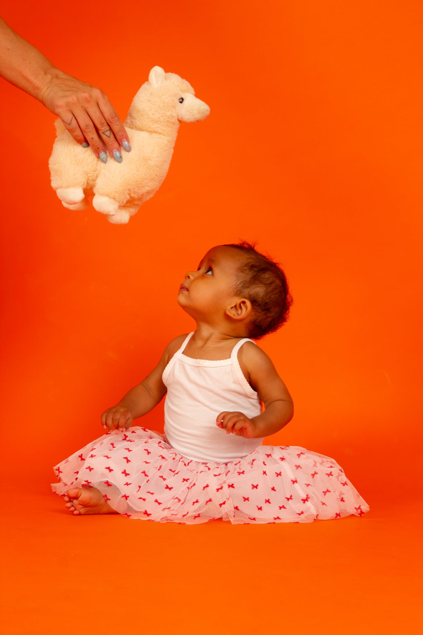 Studio Kupun kuvauspäivät joka kuun 11. päivä