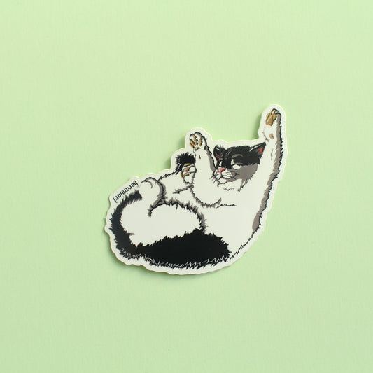 Tarra, Kissa